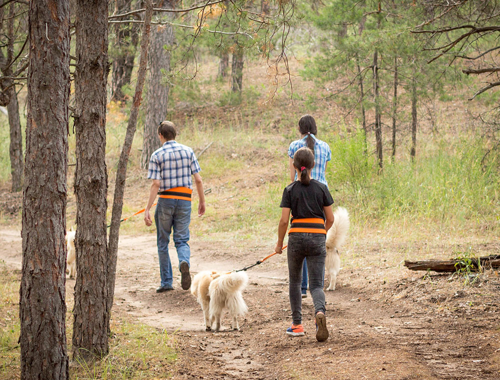 Приложение гулять. Маламут ленд | эко-парк семейного отдыха. Собака в походе. Прогулка дога Краснодар. Догтрекинг.